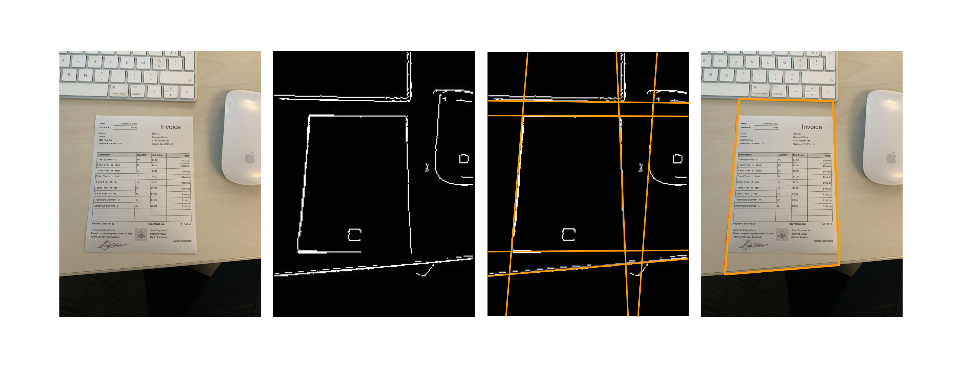 Image of all the lines detected from an invoice